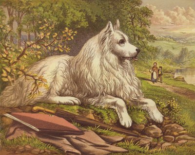 Házi kedvenc kutyák alkotó: English School